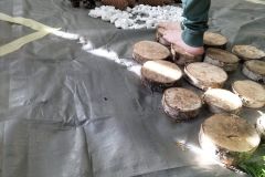 401029825_6833300870039784_6271646331258492042_n