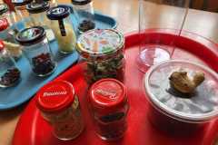 425643764_7156621471041054_4116797729620178113_n