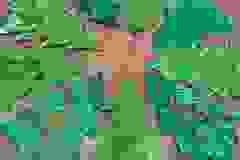 410122387_6966486376721232_719313482714349219_n