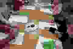 410840353_6966486123387924_1185608739438890678_n