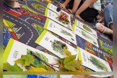 561254979_122117129054990881_1355316626807692712_n