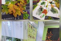 561498460_122117128712990881_2866288095588122559_n