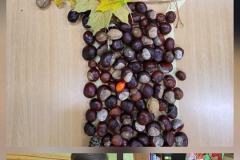 561747917_122117128670990881_2871832182035097881_n