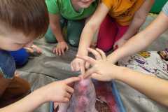 429889115_7274232782613255_5655618044108286801_n