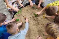 430330394_7274230609280139_2871765638809255775_n