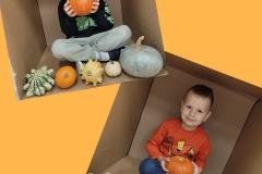 576487389_122122306718990881_795018690669981445_n