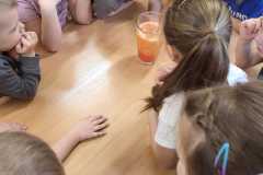 429679358_7244621368907730_8810659448804701790_n