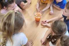 429811453_7244622032240997_4676537645665538670_n