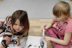 337883509_1268655457396774_7171519354149580229_n