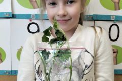 339595566_1277445369847781_4731409081104510395_n