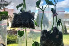 339598044_195468659864150_3942194968336995379_n