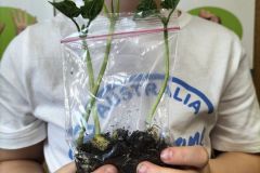 339606842_187025564089592_827817780784988902_n