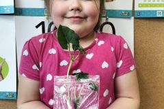 339973056_701222388468566_7855909303927497809_n