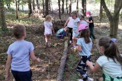 380731041_6650092298360643_6817112462654773617_n