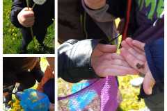 439893968_7493943947308803_6049628820837464511_n