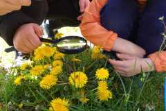 439942231_7494095627293635_3880436624526256814_n