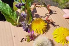 440030135_7494105393959325_8636417676230662220_n