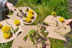 440097038_7493944373975427_2571873687242937964_n