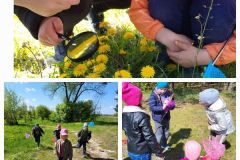 440358202_7493943350642196_3798505194210539667_n