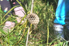 496093910_9806725539363954_7189389085938298237_n