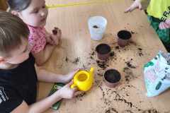 433708912_1414806372733297_1726673326980578259_n