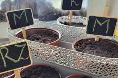 434538573_970352787379807_4598765621053767160_n