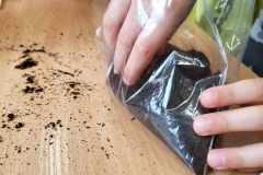 434616458_1566816644172482_5181390779224669475_n