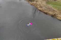 336769102_1357433588385552_4008359748496896348_n