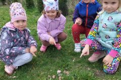 341878906_268254295557937_2364739755239160100_n