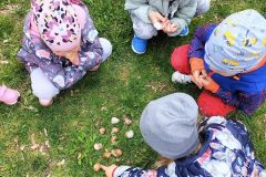 342053762_532861062256827_7724495738375102315_n