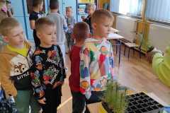 386511013_6693472240689315_3097453647743091811_n