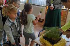 386557380_6693471690689370_1897105151227432822_n