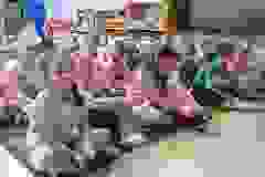 438098492_7488698131166718_9099420456594775480_n