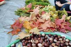 558161654_122116349162990881_415116655228354077_n