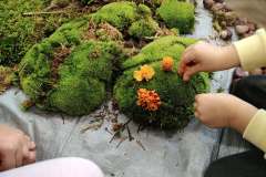 558628076_122116350386990881_7682886238938794103_n