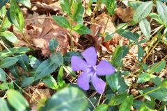 343016764_1233919257230617_8259257186804843651_n