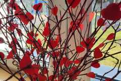 426407567_7196984487004752_5460948833553881632_n