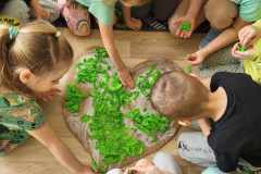 1778f1a7-9825-429b-ab8f-b487addf143d