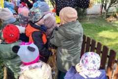 b971a667-480a-4529-ba09-bad05571cea8