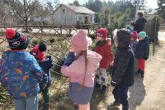 335446031_251025260607361_151982761033645161_n