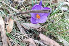 336059207_2029704117361649_680852077458450529_n