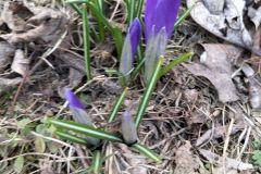 336082042_759922235460990_6887149060892955391_n