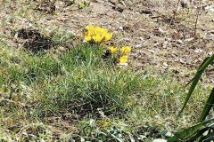 336084257_2513583772116348_8384147355001814046_n