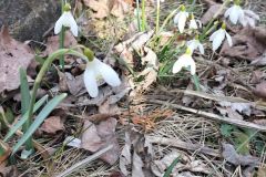 336162574_550759493566231_5785008343356727379_n