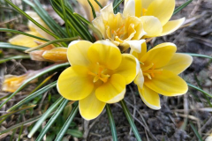 336737020_1238062100157023_1655813494682883294_n