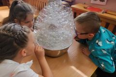 09d13200-7037-4bbc-8860-dce56e5836ab