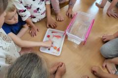 76351481-e2dd-41a2-91b0-20dc1896b5c0