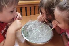 8d1af091-23b8-4f4a-b6ca-061083833b72