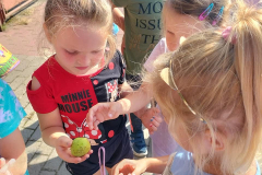 384487660_6669310859772120_6496031327321904189_n